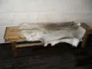 Викинг Общая