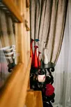 Викинг Общая